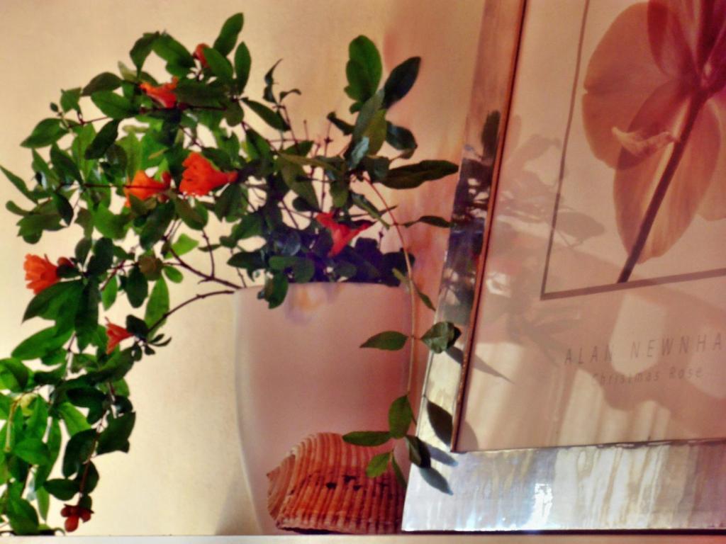 Ilios Studios ペフキ 部屋 写真